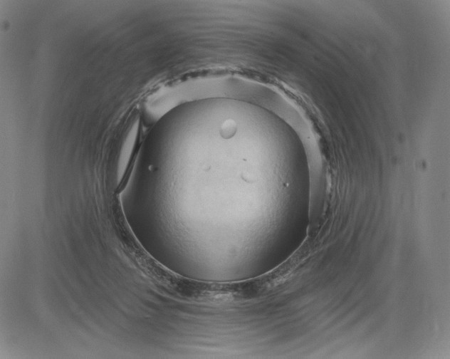 X0000083610260200702260935