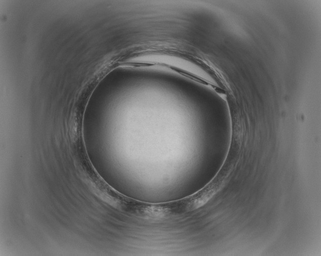 X0000083610261200702260935