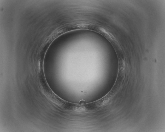 X0000083610262200702260935