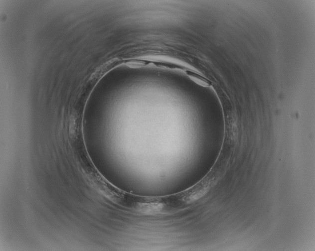 X0000083610266200702260935