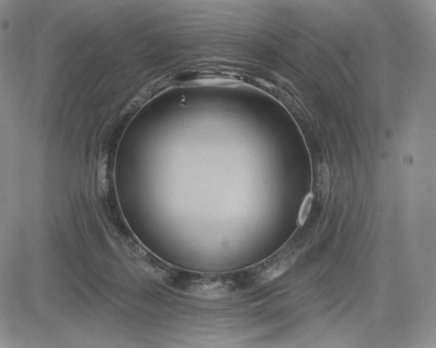 X0000083610267200702260935