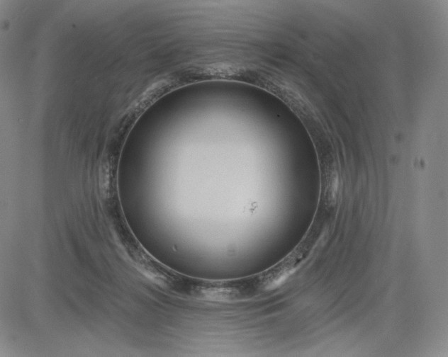 X0000083610268200702260935