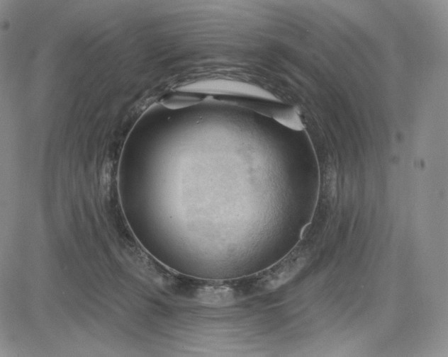 X0000083610271200702260935