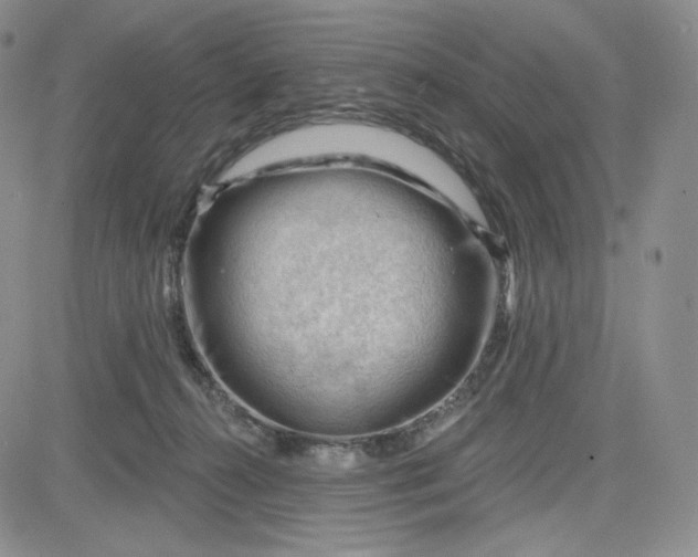 X0000083610272200702260935