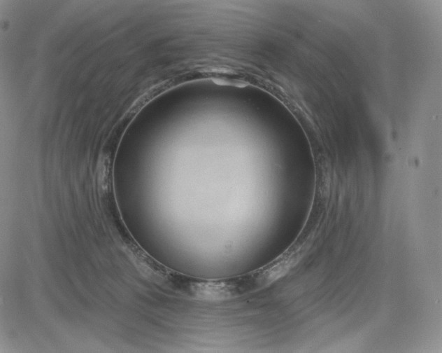 X0000083610273200702260935