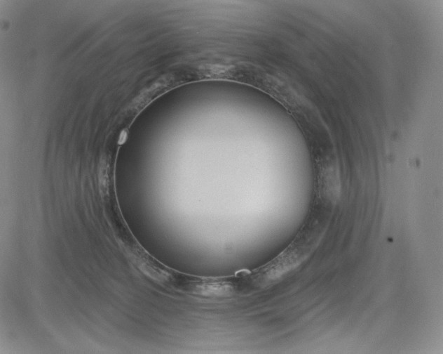 X0000083610274200702260935