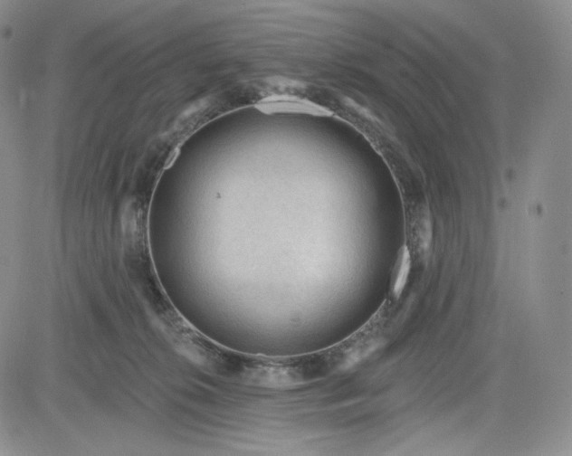 X0000083610276200702260935