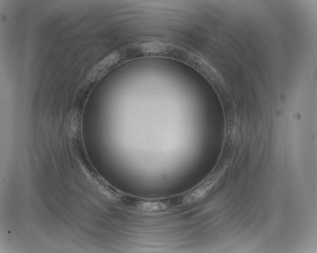 X0000083610277200702260935