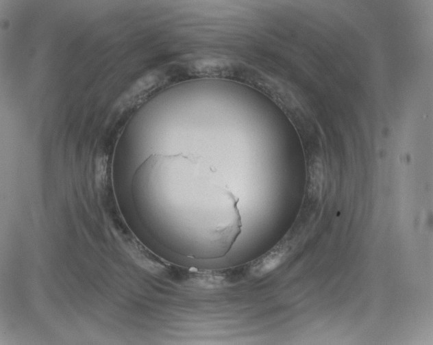 X0000083610278200702260935