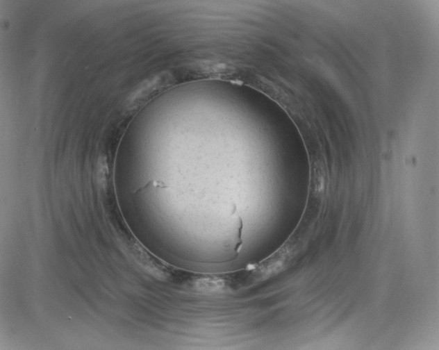 X0000083610279200702260935