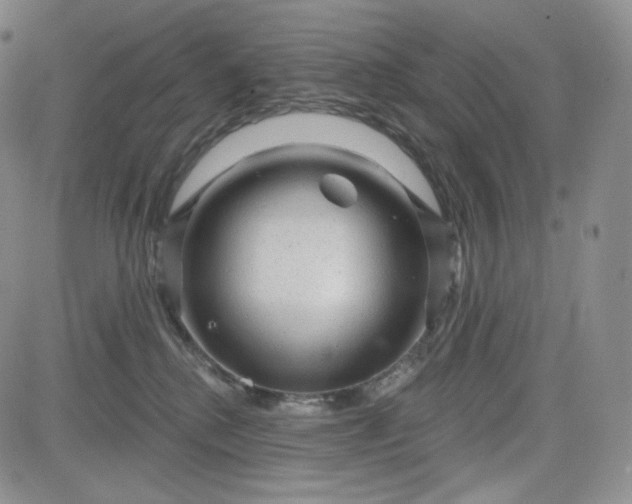 X0000083610280200702260935