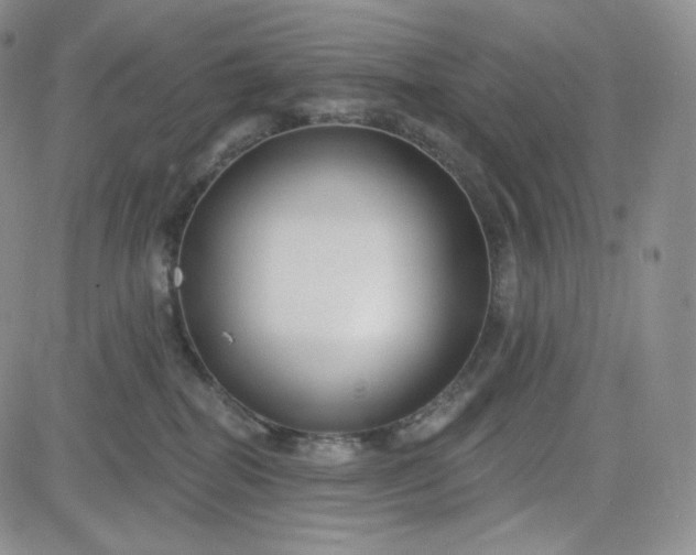 X0000083610282200702260936