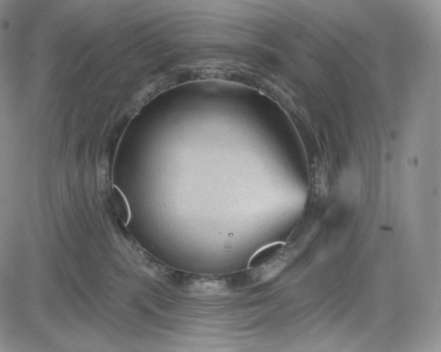 X0000083610283200702260936