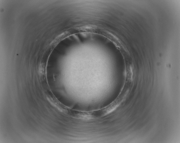 X0000083610284200702260936