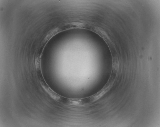 X0000083610285200702260936