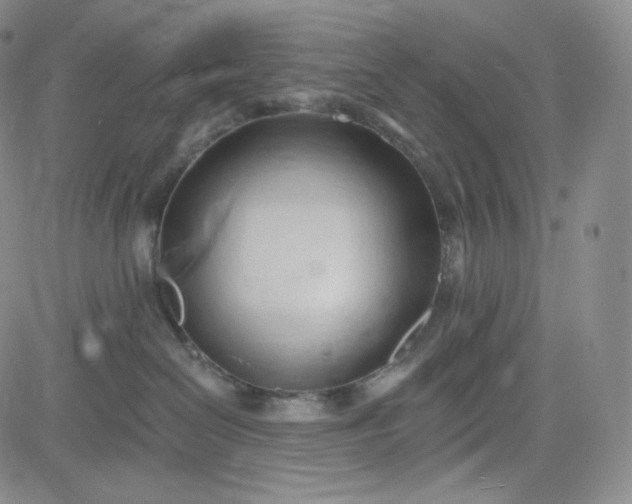 X0000083610286200702260936