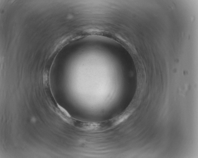 X0000083610288200702260936