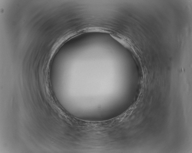 X0000083610289200702260935