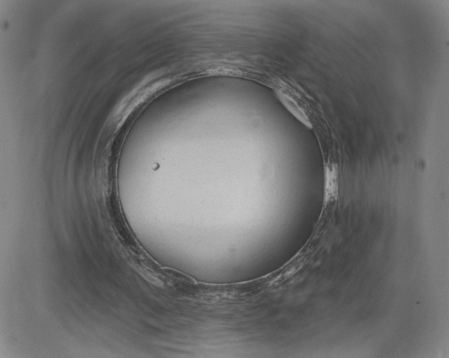 X0000083610291200702260935