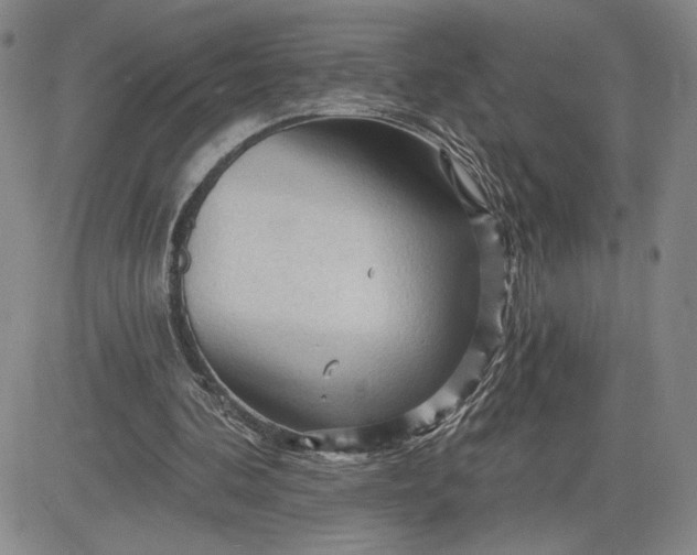 X0000083610292200702260935