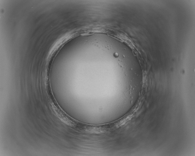 X0000083610293200702260935