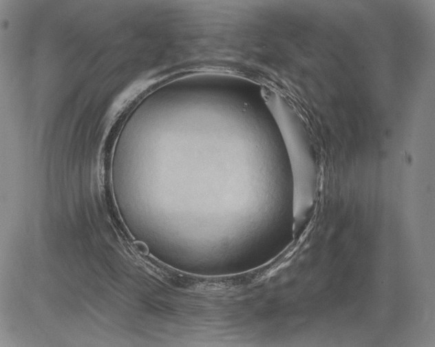 X0000083610294200702260935