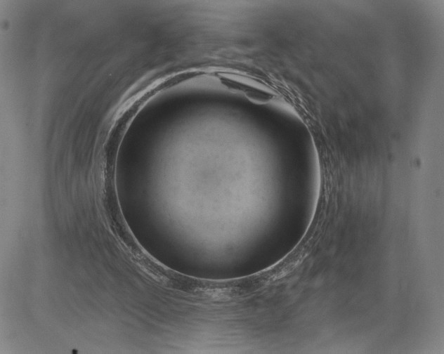 X0000083610295200702260935