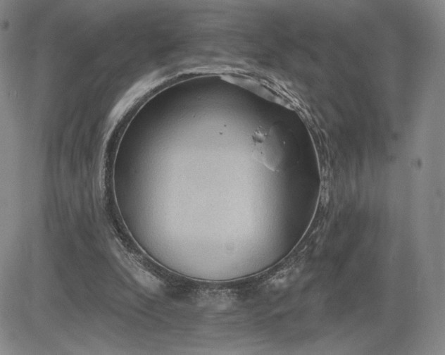 X0000083610296200702260935