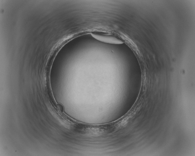 X0000083610298200702260935