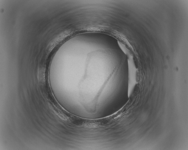 X0000083610299200702260935