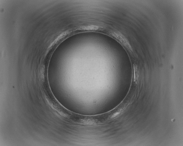 X0000083610300200702260935