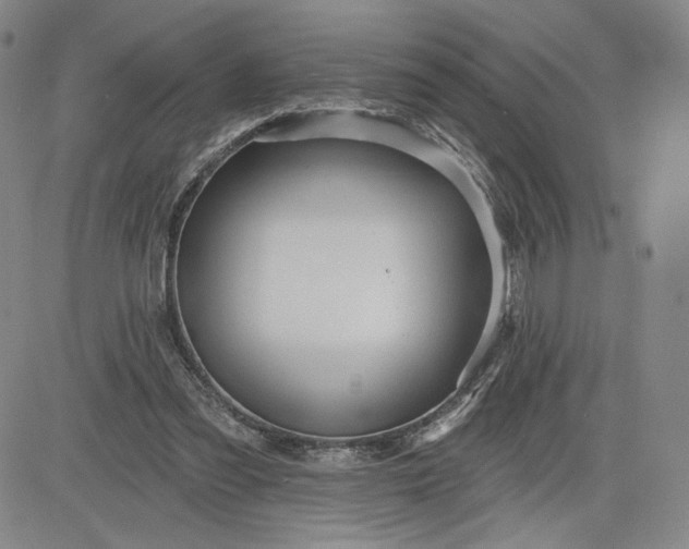 X0000083610301200702260935