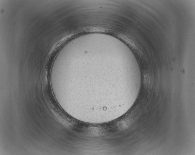 X0000083610302200702260935