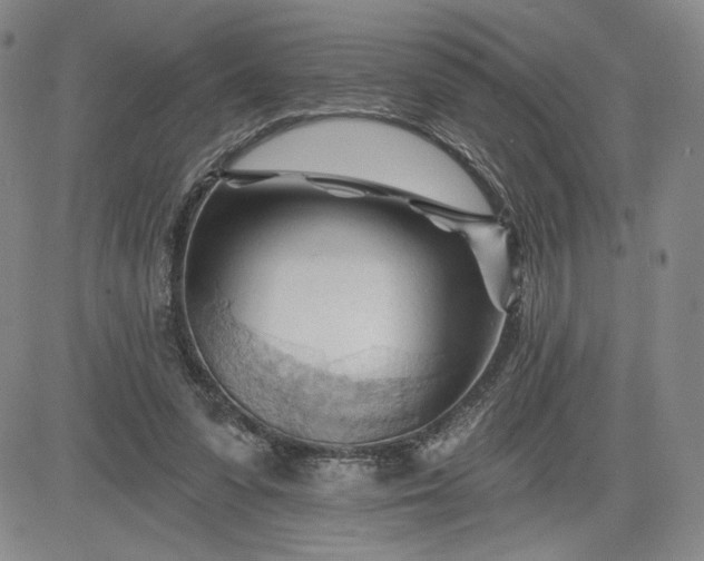 X0000083610303200702260935