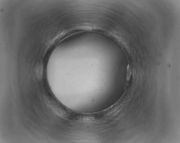 X0000083610304200702260935