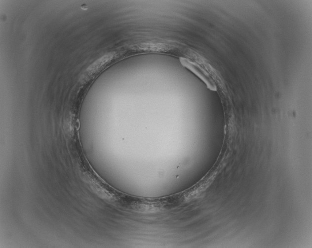 X0000083610305200702260935