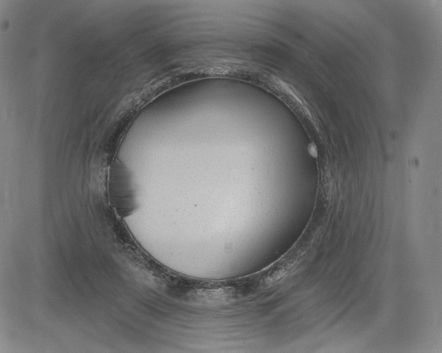 X0000083610307200702260935