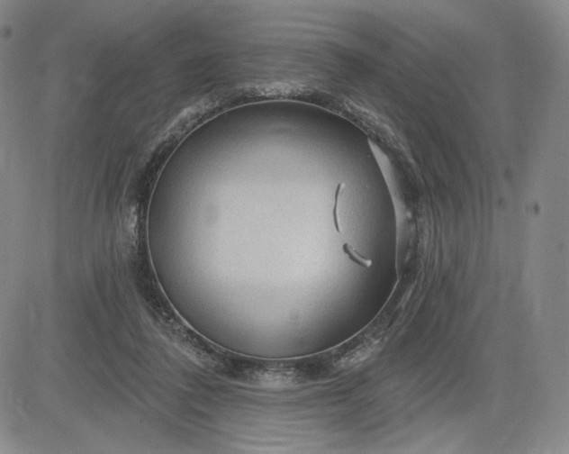 X0000083610308200702260934