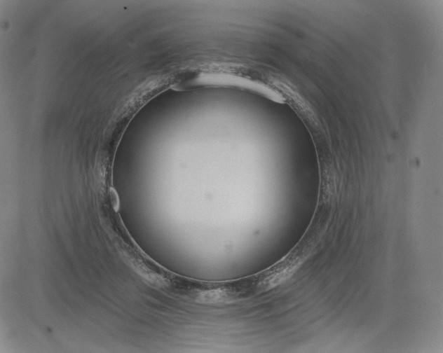 X0000083610309200702260934