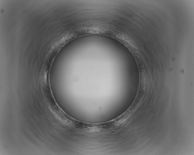 X0000083610310200702260934