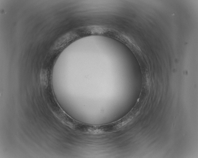 X0000083610311200702260934