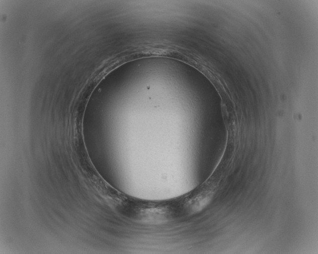 X0000083610312200702260934