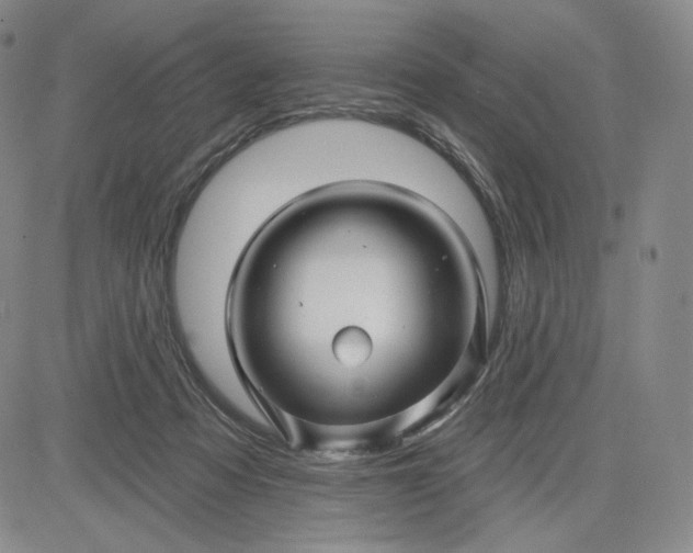 X0000083610313200702260934