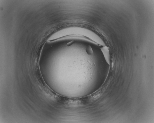 X0000083610314200702260934