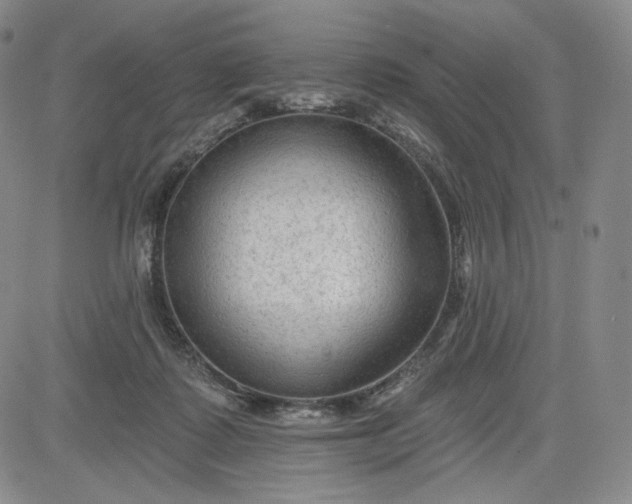 X0000083610315200702260934