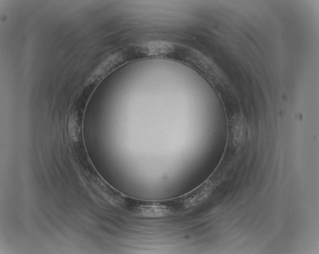 X0000083610316200702260934