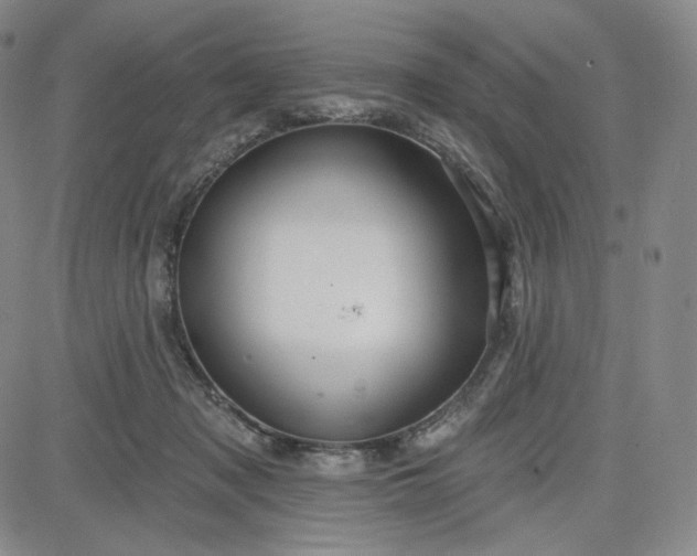 X0000083610317200702260934