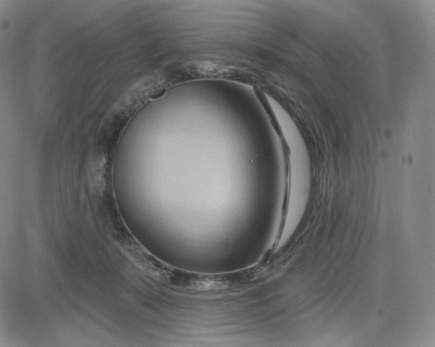 X0000083610319200702260934