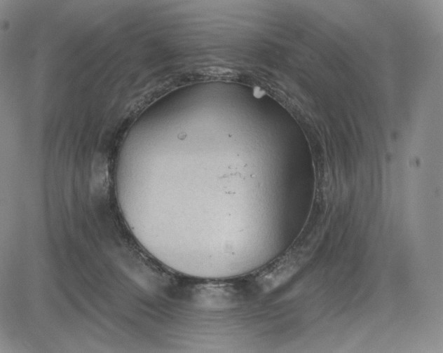 X0000083610320200702260934