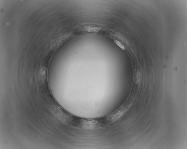 X0000083610321200702260934